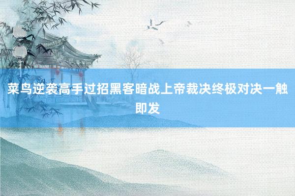 菜鸟逆袭高手过招黑客暗战上帝裁决终极对决一触即发
